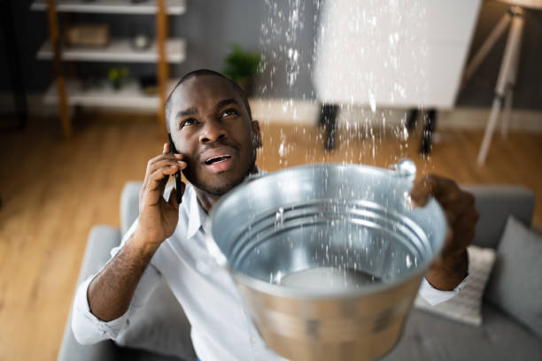 Best Residential water damage restoration  in Franklin, VA