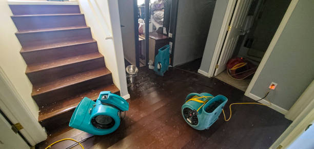Best Residential water damage restoration  in Franklin, VA