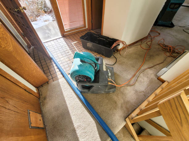 Professional Water damage restoration in VA