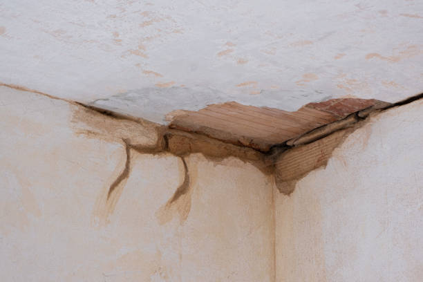 Best Flood restoration services  in Franklin, VA