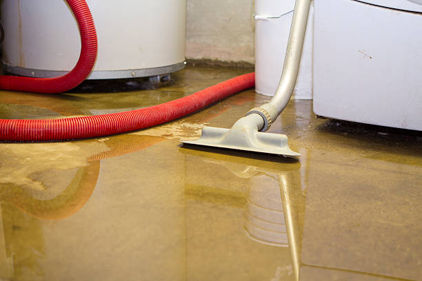 Best Sewage cleanup and water damage restoration  in Franklin, VA