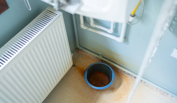 Best Fire Damage Restoration  in Franklin, VA