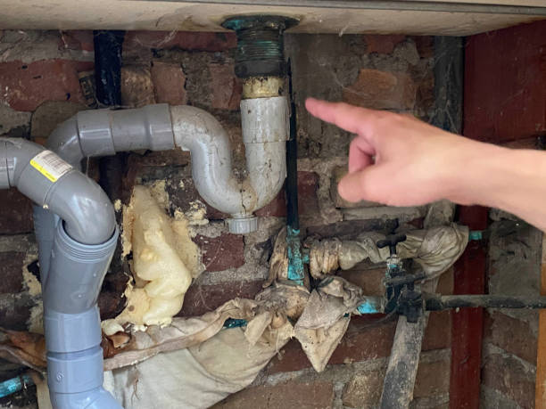 Best 24/7 water damage repair  in Franklin, VA