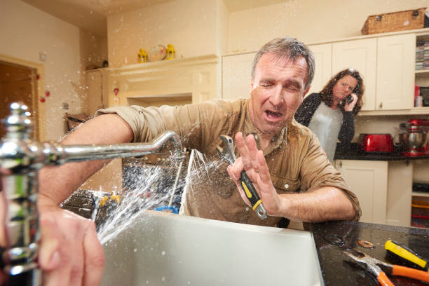 Best 24/7 water damage repair  in Franklin, VA